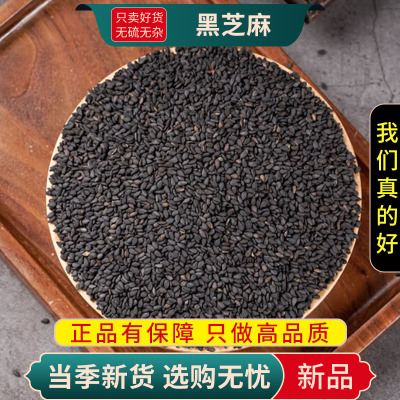 甄选正品黑芝麻100克新货黑芝麻干净颗粒饱满另售黑豆9260