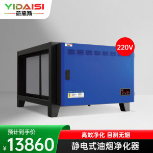 意黛斯 商用油烟净化一体机 商用不锈钢烟罩抽油烟机低空大吸力油烟净化器 油烟净化器12000风量YDS-LK120D