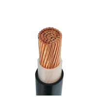佰裕 铜芯交联聚乙烯阻燃电缆 ZR-YJV 0.6/1KV 1X150mm² 米