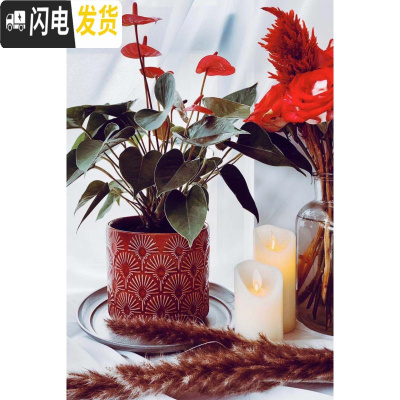 三维工匠MimiHome北欧冰裂蒲公英花盆家居陶瓷摆件彩色花盆绿植花器 中国红蒲公英[口径20CM高18CM] 花盆容器