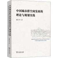 中国城市群空间发展的理论与规划实践