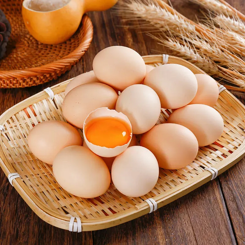 [熊猫鸟]新鲜虫草鸡蛋 10枚装 农家散养新鲜正宗草鸡蛋笨柴鸡蛋孕妇月子蛋整箱