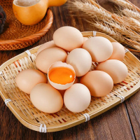 [熊猫鸟]新鲜虫草鸡蛋 10枚装 农家散养新鲜正宗草鸡蛋笨柴鸡蛋孕妇月子蛋整箱