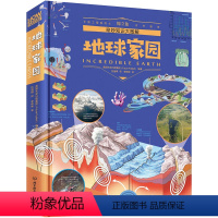 [正版]howitworks 地球家园/奇妙知识大图解中国儿童少年百科全书高端科普大全青少年版DK小学生课外读物书籍英