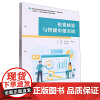 税费核算与智能申报实训