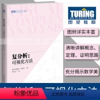 [正版]复分析 可视化方法 可视化简明基础本科研究生复分析可视化 Complex Analysis 旧金山大学教授力作