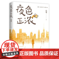 夜色正浓 右耳湖南文艺出版社