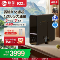 Rheem瑞美 弱碱性净水器1200G大通量家用厨下式母婴直饮净水机RO反渗透过滤 RMJS-25RO-1200G
