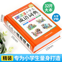 彩图版小学生成语词典(精)