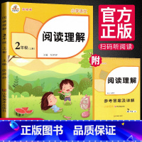 [正版]二年级阅读理解专项训练书人教版阶梯阅读训练题每日一练小学语文课外阅读练习题技巧与方法练习书籍小学生上册答题技巧
