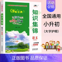 语文知识集锦 小学通用 [正版]2024新知识集锦语文升级版大字护眼全国版小学生1-6年级统编语文知识大全文学常识字词成