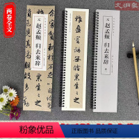 [正版]赵孟頫 归去来辞 经典碑帖临摹卡 2册全文 近距离临摹字卡 赵体行书书法毛笔练字帖 原碑帖附简体旁注 安徽美术