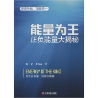 音像能量为王陈放,朱梅品 著