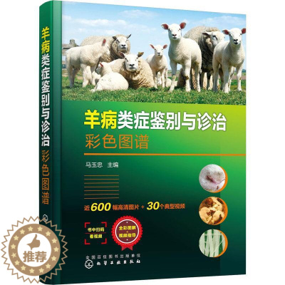 [醉染正版]正版 羊病类症鉴别与诊治彩色图谱(精)马玉忠化学工业出版社农业、林业羊病鉴别诊断图谱普通大众97871223