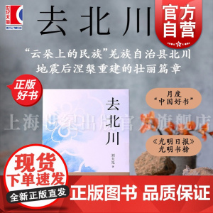 去北川 刘大先上海文艺出版社四川地震乡村振兴文化力量民族历史人文民族记忆地理变迁风物传统新时代山乡巨变长篇纪实文学