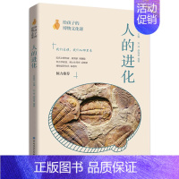 给孩子的博物文化课 人的进化 [正版]给孩子的博物文化课人的进化儿童历史百科全书科普类书籍小学6-12岁中小学生青少年版