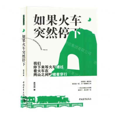 [N]如果火车突然停下(精)-9787515371931