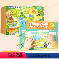 识字启蒙书1册+识字拼图8张 [正版]2-6岁宝宝识字启蒙游戏书幼儿识字早教魔术贴儿童象形看图识字卡片幼儿认字神器全套手