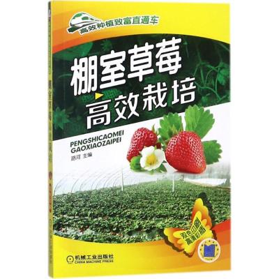 棚室草莓高效栽培