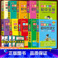 十本套装 初中通用 [正版]2024新版图解速记初中数学七年级八年级九年级初一初二初三教辅辅导中考复习资料基础口袋书pa