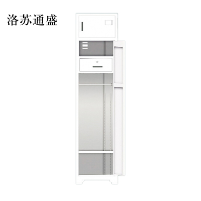 洛苏通盛员工储物柜文件柜存放柜子更衣柜单门更衣柜常规款
