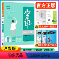 物理 八年级下 [正版]2024新版少年班八年级下册物理教科版 初二八下物理8年级下册同步练习册初中必刷题初一初二初三课
