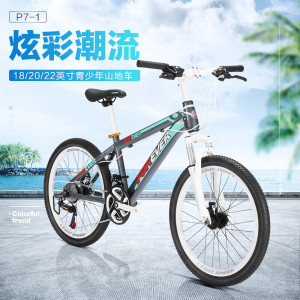 永久 P7-1自行车 (20寸奔驰灰)