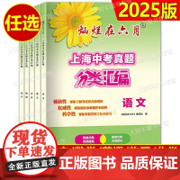 2025灿烂在六月 上海中考真题分类汇编 语数英物化 5本套装七年级八年级九年级初一初二初三上海初中生教辅中西书局