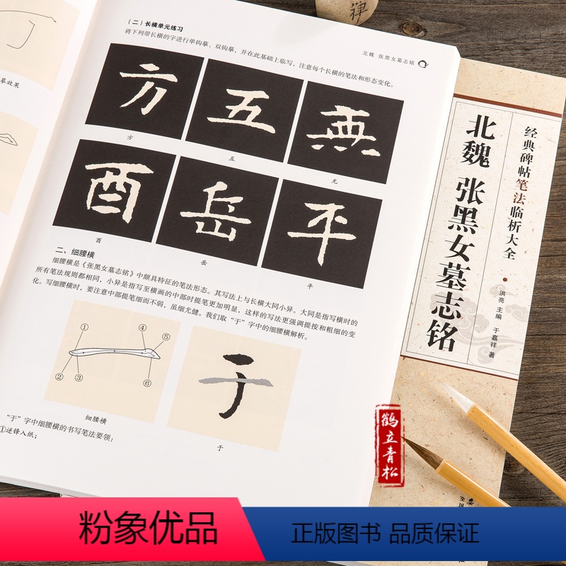 [正版]全新经典碑帖笔法临析大全北魏张黑女墓志铭安徽美术出版社毛笔字帖洪亮主编从零学书法经典字帖临摹毛笔艺术书法篆刻大