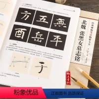 [正版]全新经典碑帖笔法临析大全北魏张黑女墓志铭安徽美术出版社毛笔字帖洪亮主编从零学书法经典字帖临摹毛笔艺术书法篆刻大