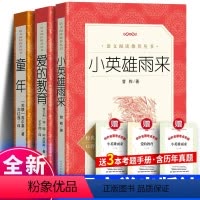 爱的教育+童年+小英雄雨来+考题册 [正版] 爱的教育 原著 全套 小学生四年级五年级六年级三年级的书 初中生课外书