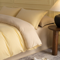 高支高密全棉磨毛床上四件套纯棉长绒棉床单被套轻奢高级感主卧室