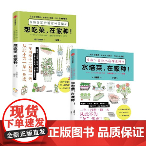 想吃菜 在家种+水培菜 在家种 套装2册 畑明宏 著 超好玩的水培种菜指南 不花大价钱 种出安心菜