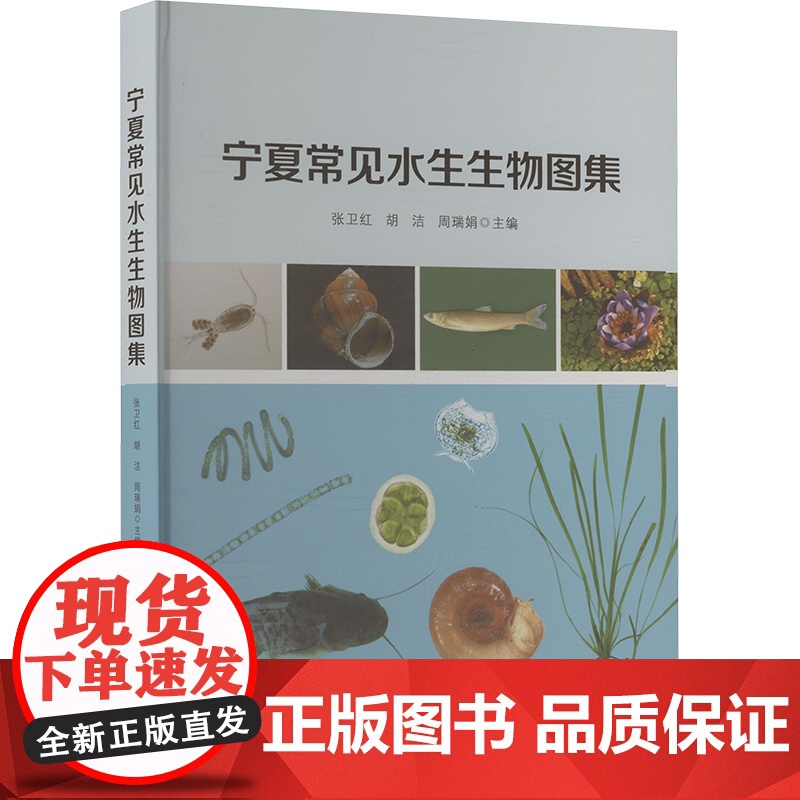 宁夏常见水生生物图集 张卫红,胡洁,周瑞娟 编 生命科学/生物学专业科技 正版图书籍 阳光出版社