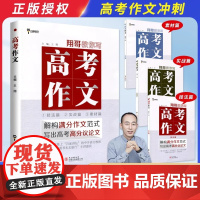 2024版翔哥教你写高考作文技法篇实战篇素材篇高一高二高三年级高中通用语文作文书专项训练高考备考写作素材大全小熊图书