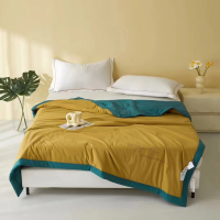 华人情思 巴黎左岸空调被 200cm*230cm/床