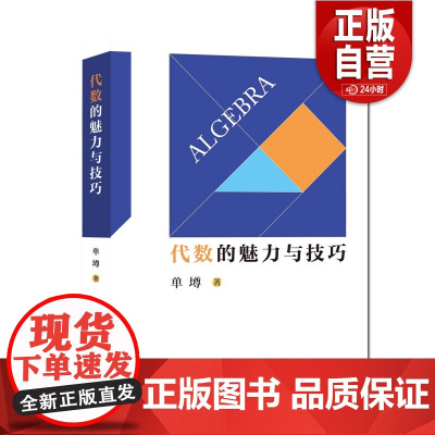 正版 代数的魅力与技巧 总结初中数学重要知识点 著名数学专家著作 单墫 中国科大出版社店 凤凰店 正版书籍