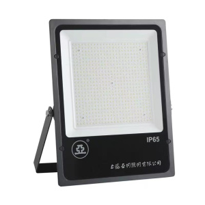 亚牌 (新月系列) LED泛光灯 FG11b 个