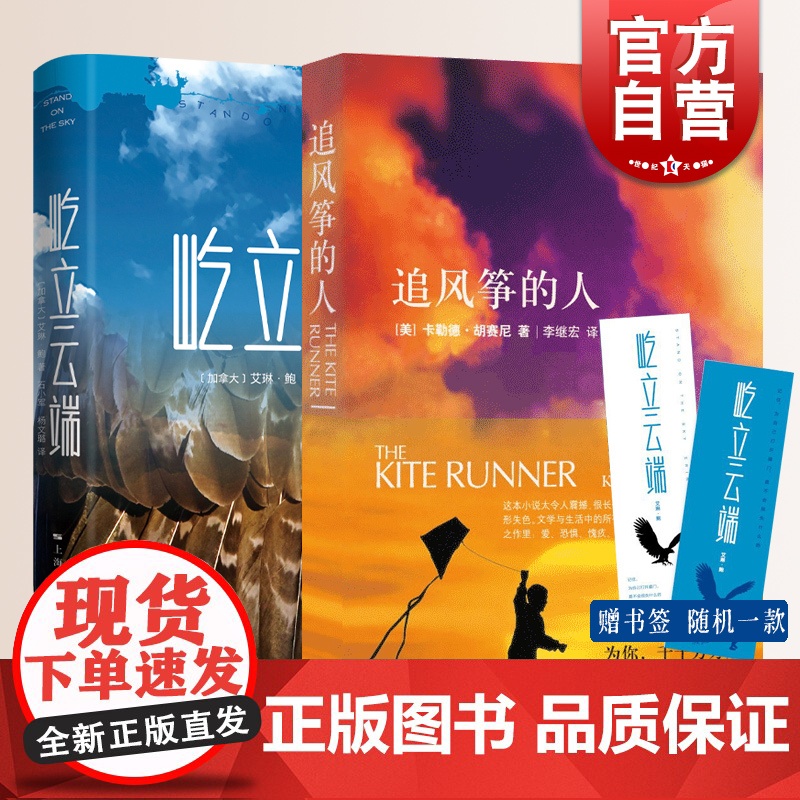 追风筝的人:胡赛尼著高圆圆/屹立云端 外国文学历史情感书籍 中文小说文艺书籍世界名著 世纪文景 世纪出版