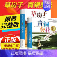 ❤青铜葵花+草房子[全2册] [正版]草房子曹文轩原著完整版 五六年级阅读 适合四年级阅读下册上册课外书江苏凤凰少年儿童