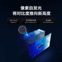 索尼(SONY)顶奢 | OLED 8系 K-65XR80M2 65英寸 OLED XR芯片 超薄游戏 电视