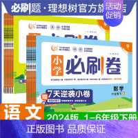 语文 人教版 四年级下 [正版]2024小学必刷卷下册语文数学人教版北师版苏教版一二年级三年级四年级五六年级练习册单元同