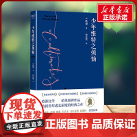 少年维特之烦恼2024 歌德 著 杨武能 译上海文化出版社 外国文学名著读物小学生一年级二年级三年级课外书正版寒假暑假阅