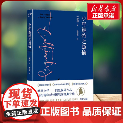 少年维特之烦恼2024 歌德 著 杨武能 译上海文化出版社 外国文学名著读物小学生一年级二年级三年级课外书正版寒假暑假阅