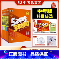 数学 全国通用 [正版]2025新53五年中考三年模拟数学人教全国版5年中考3年模拟中考数学总复习资料53初中中考备战数