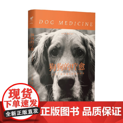 狗狗的疗愈 朱莉·巴顿 著 小说