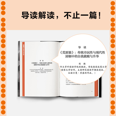 [M]荒原狼-9787559464378