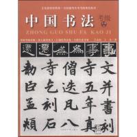 音像中国书法考级1-6级吕金柱王玺