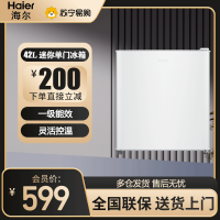 海尔(Haier)单门小冰箱42L容量迷你微型宿舍办公室家用冷藏美妆可用节能省电一级能效电冰箱BC-42GHSDE0W9