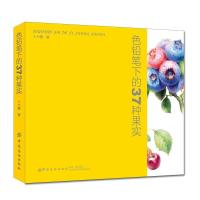 正版新书]色铅笔下的37种果实十六糖 著9787518056712